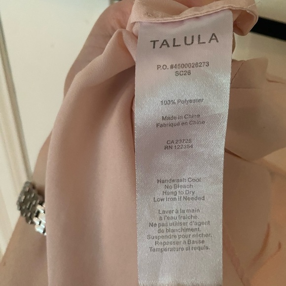 Aritzia Talula Sheer Material Waverly Top in Blush Pink - Picture 5 of 5